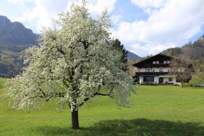 Apartments in Kramsach/Tirol 452, Kramsach